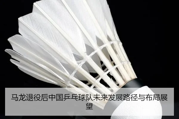 马龙退役后中国乒乓球队未来发展路径与布局展望